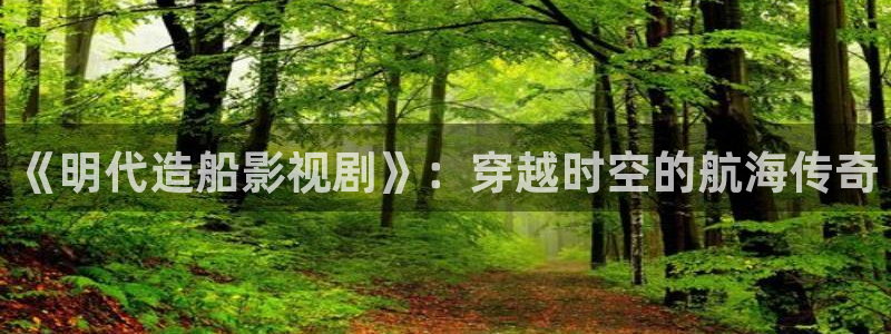 飘雪影院正版免费观看