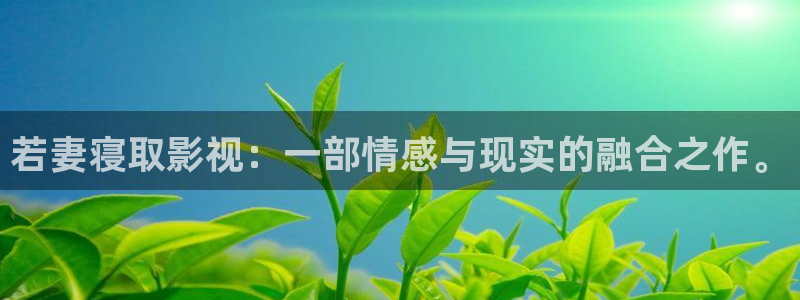 飘雪电影免费网