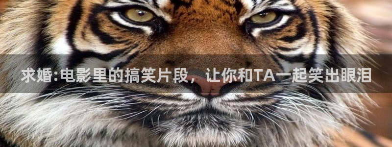飘雪影院在线观看免费高清完整电影