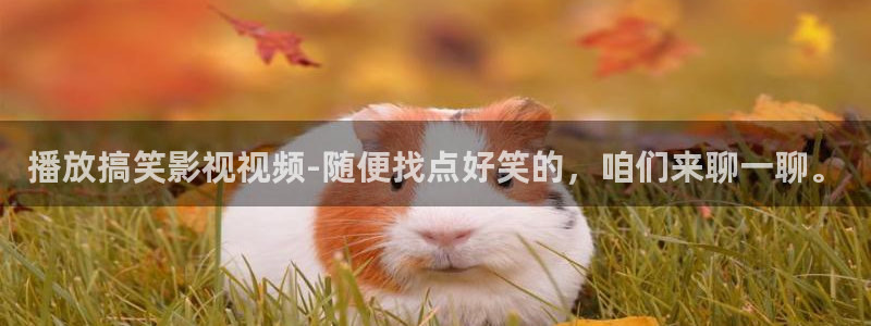 飘雪影院理论片